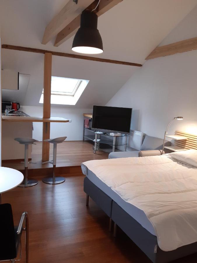 Loft Studio Avec Charme Et Authenticite Altkirch Exterior photo
