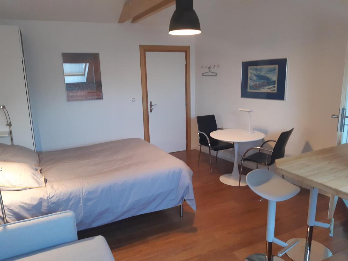 Loft Studio Avec Charme Et Authenticite Altkirch Exterior photo